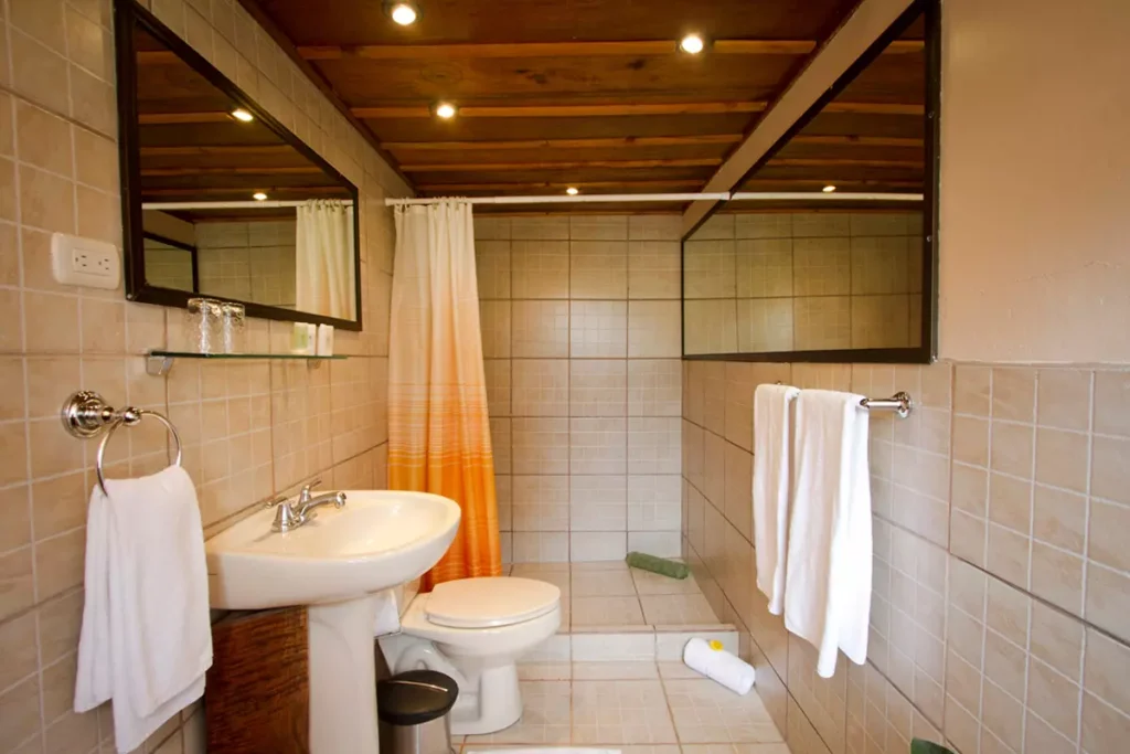 Heliconia Room - Bathroom