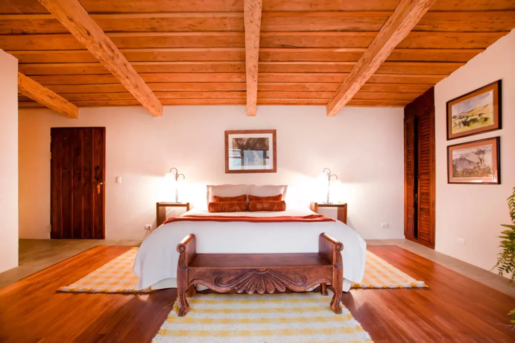 Jacamar Room - Room